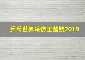 乒乓世界采访王楚钦2019