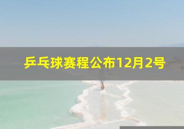 乒乓球赛程公布12月2号