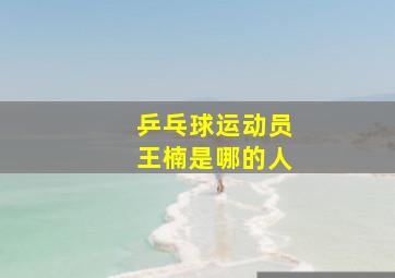 乒乓球运动员王楠是哪的人