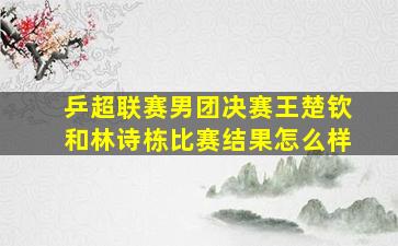 乒超联赛男团决赛王楚钦和林诗栋比赛结果怎么样