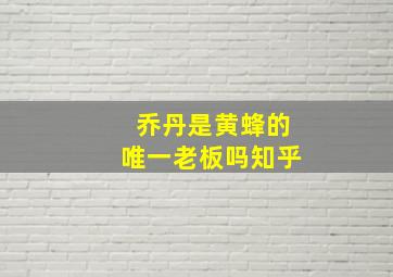 乔丹是黄蜂的唯一老板吗知乎