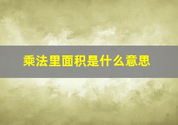 乘法里面积是什么意思