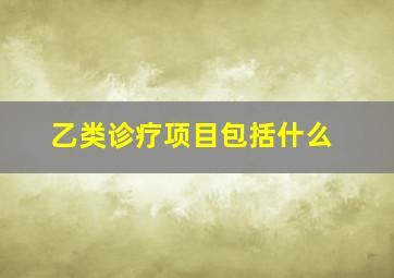 乙类诊疗项目包括什么