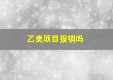 乙类项目报销吗