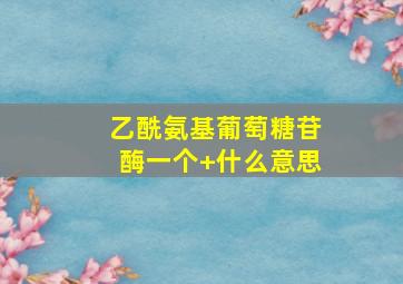 乙酰氨基葡萄糖苷酶一个+什么意思