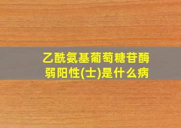 乙酰氨基葡萄糖苷酶弱阳性(士)是什么病