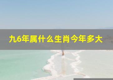 九6年属什么生肖今年多大