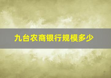 九台农商银行规模多少