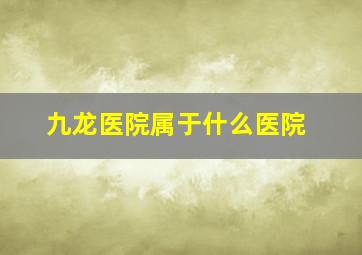 九龙医院属于什么医院