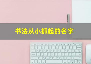 书法从小抓起的名字