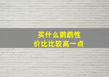 买什么鹦鹉性价比比较高一点