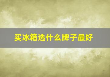 买冰箱选什么牌子最好