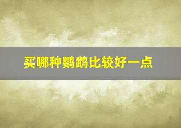 买哪种鹦鹉比较好一点