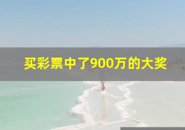 买彩票中了900万的大奖