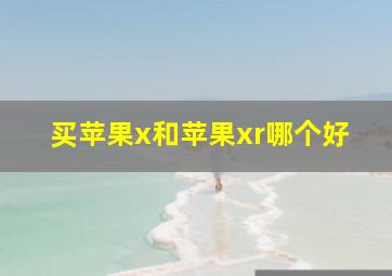 买苹果x和苹果xr哪个好