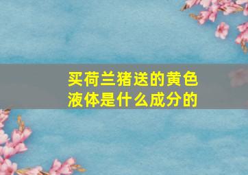 买荷兰猪送的黄色液体是什么成分的