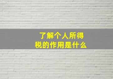 了解个人所得税的作用是什么