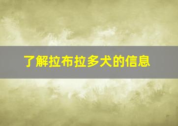 了解拉布拉多犬的信息