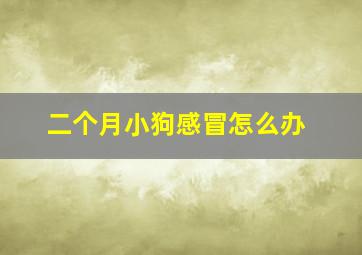 二个月小狗感冒怎么办