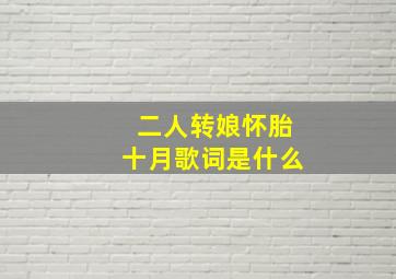 二人转娘怀胎十月歌词是什么