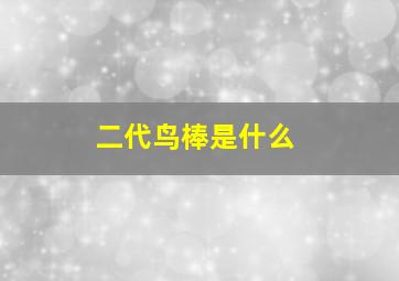 二代鸟棒是什么