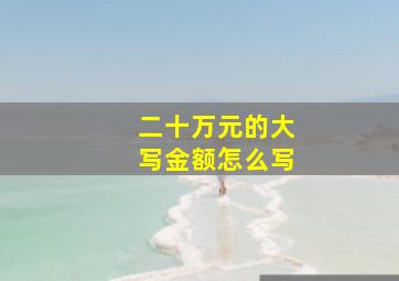 二十万元的大写金额怎么写