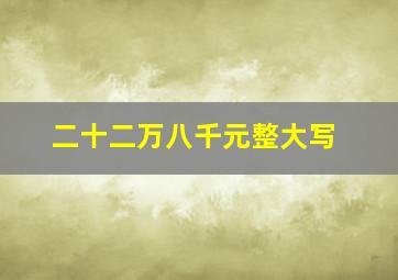 二十二万八千元整大写