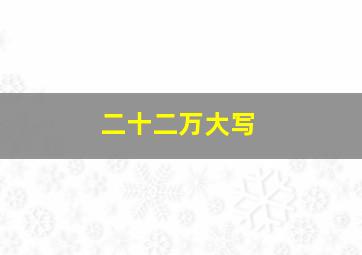 二十二万大写