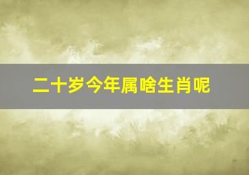 二十岁今年属啥生肖呢