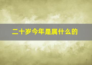 二十岁今年是属什么的