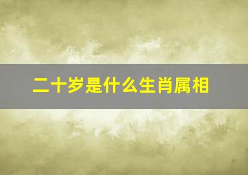 二十岁是什么生肖属相