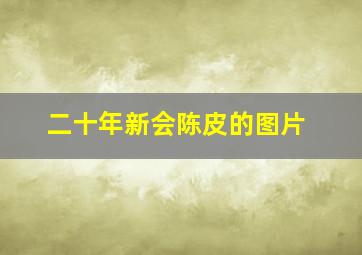 二十年新会陈皮的图片