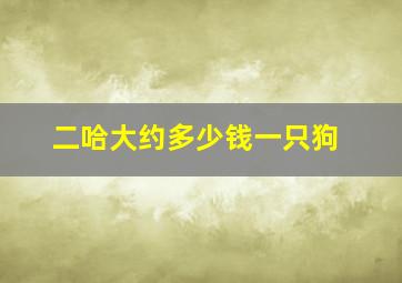 二哈大约多少钱一只狗