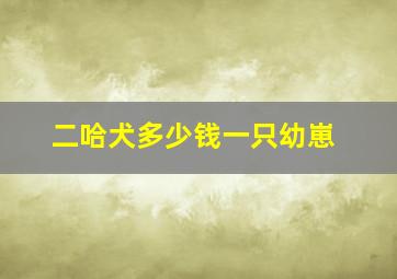 二哈犬多少钱一只幼崽