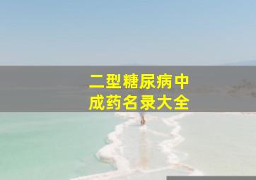 二型糖尿病中成药名录大全