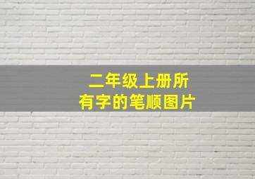 二年级上册所有字的笔顺图片