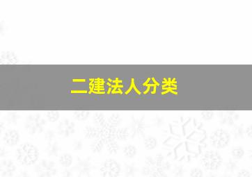 二建法人分类