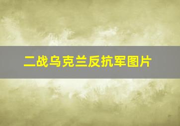 二战乌克兰反抗军图片