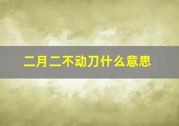 二月二不动刀什么意思