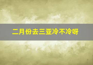 二月份去三亚冷不冷呀