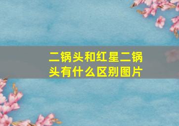 二锅头和红星二锅头有什么区别图片