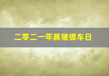 二零二一年属猪提车日