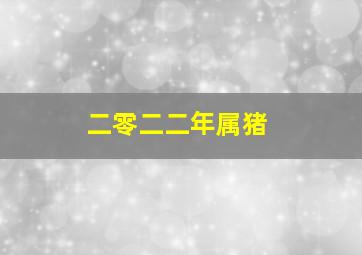 二零二二年属猪