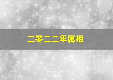 二零二二年属相