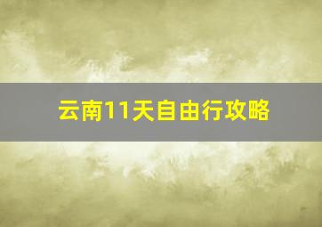 云南11天自由行攻略