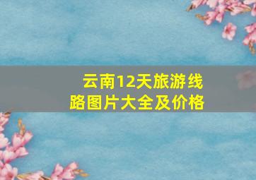 云南12天旅游线路图片大全及价格