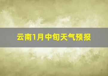 云南1月中旬天气预报