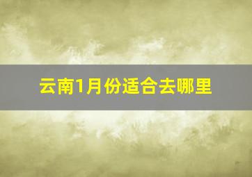 云南1月份适合去哪里