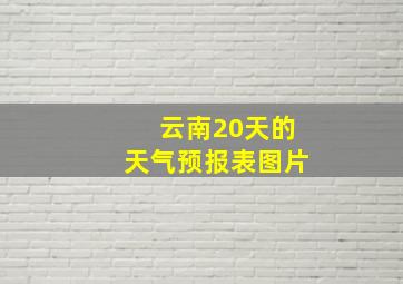 云南20天的天气预报表图片