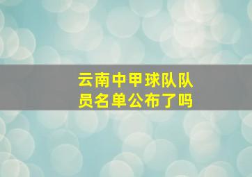 云南中甲球队队员名单公布了吗